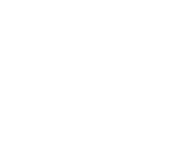 IMC Logo